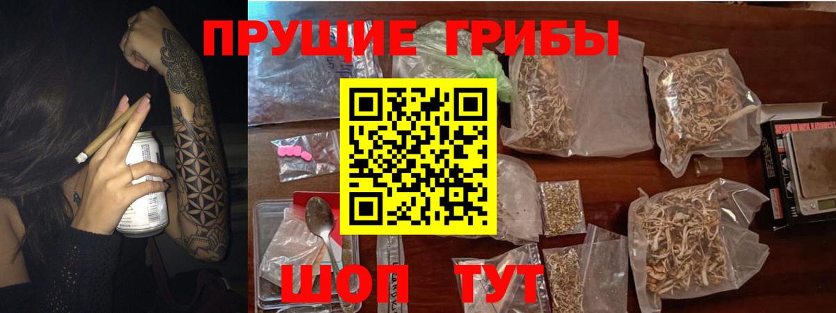 Псилоцибиновые грибы GOLDEN TEACHER  Вход с VPN  Псилоцибиновые грибы Magic Shrooms  Советская Гавань 
